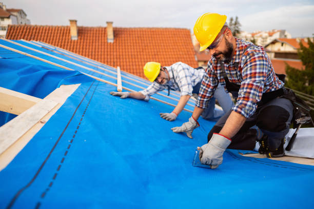 Best Green or Eco-Friendly Roofing Solutions  in Hamilton, AL