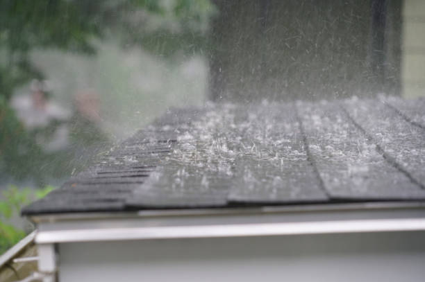 Best Rubber Roofing (EPDM, TPO)  in Hamilton, AL