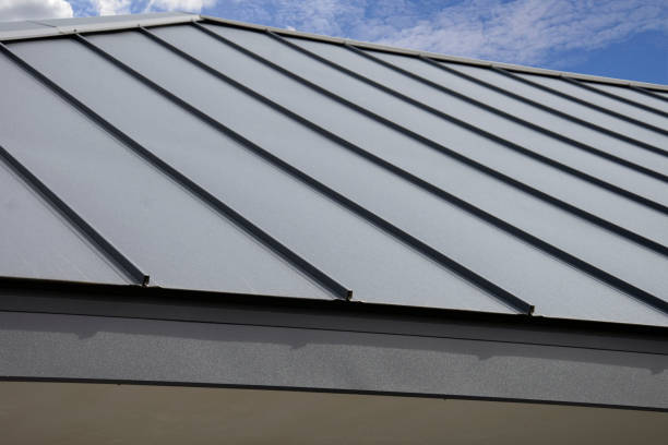 Best Skylight Installation and Repair  in Hamilton, AL